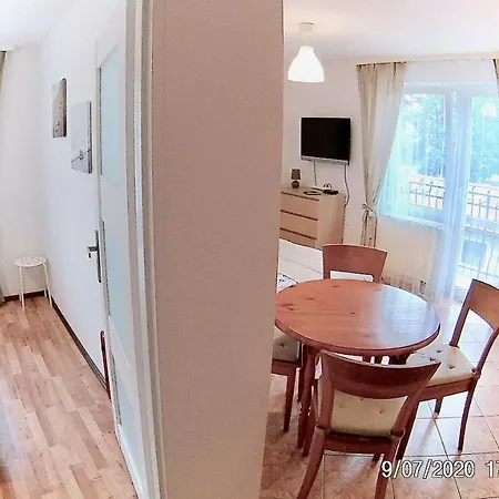 Czarny Bursztyn Dziwnówek