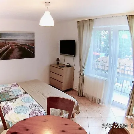 Czarny Bursztyn Apartment