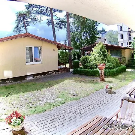 Czarny Bursztyn