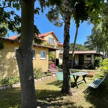Czarny Bursztyn *