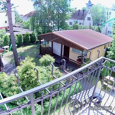 Czarny Bursztyn *